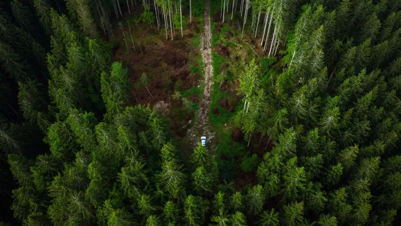 Mercado de carbono no Brasil é visto como oportunidade para valorizar ativos